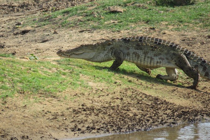 Super Luxury Jeep Safari at Yala National Park - Comfort checklist for 4.5 hours on an open-top jeep