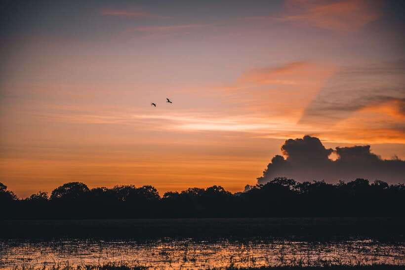Tangalle/Hiriketiya: Yala National Park Safari in a 4x4 - Ruhunu Yala National Park: Why Leopards and Elephants Are The Main Draw