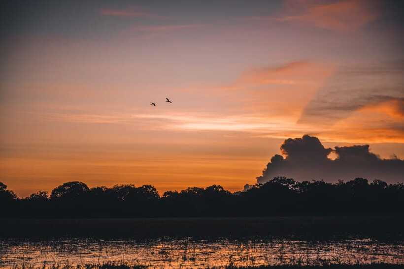 Tangalle/Hiriketiya: Yala National Park Safari in a 4x4 - Guide and Driver Quality: The Names People Remember for a Reason