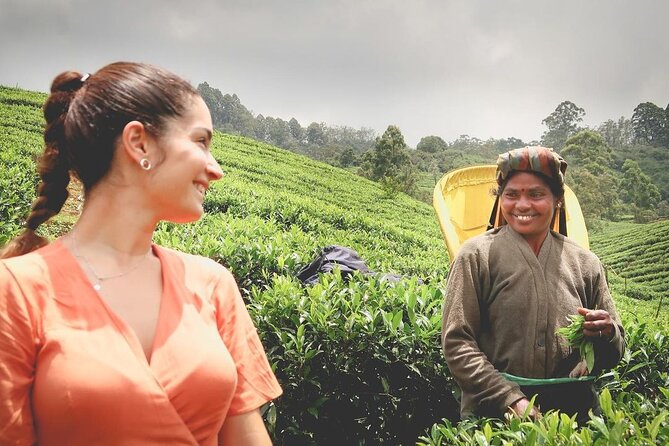 Tea Fields & Factory Tour - Tea field walking: what you’re really looking for