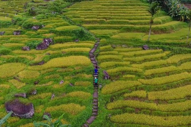 Tea Loops E-Biking - Heritage and faith along the ride: temples and All Saints Church