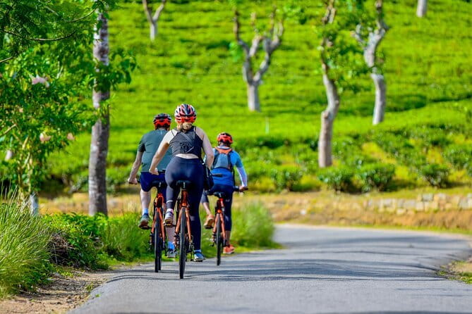 Tea Loops E-Biking - Guides, safety, and the small-group advantage