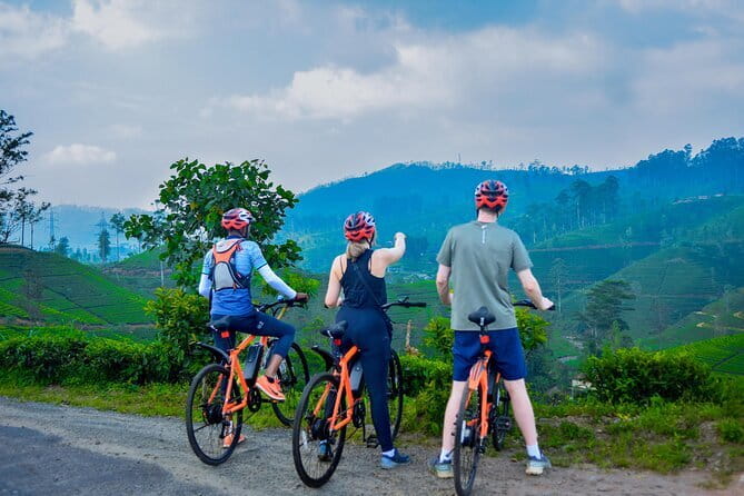 Tea Loops E-Biking - 25 km of tea estates, factories, and village lanes