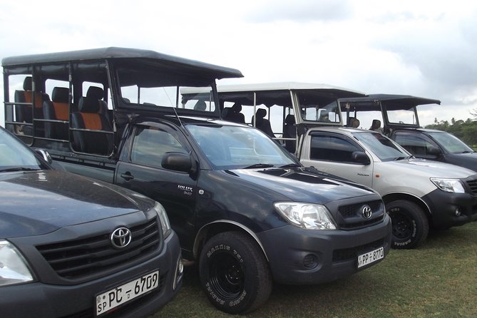 The Best Safari tour from Hambantota Port (Janaka safari) - Key things to know before you go