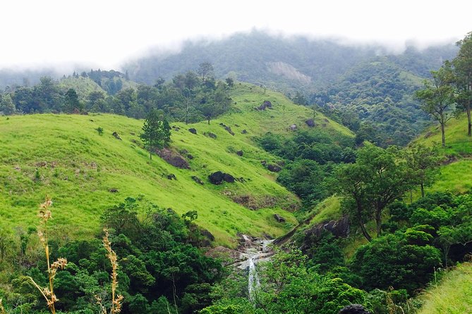 The Most Recommended Round Tour in Sri Lanka - Day 4: Tea Country and Waterfall Breaks Before Nuwara Eliya