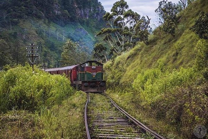 The Most Recommended Round Tour in Sri Lanka - Day 5: Ella Train Magic Starts at Nanu Oya, With Your Driver Picking You Up