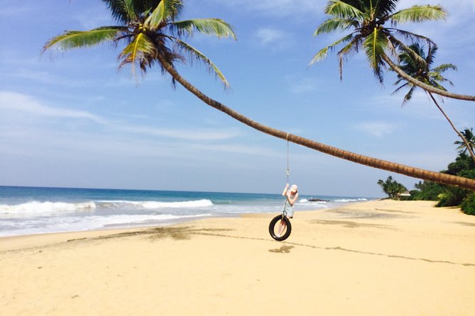 The Most Recommended Round Tour in Sri Lanka - Logistics That Matter: Pickup, Drop-Off, and a Driver-Guide Who Keeps You Moving