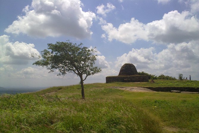 Three Ancient Kingdoms Tour | from Colombo - Yapahuwa Rock Fortress: A Sigiriya Feel, Different Details, Real Stairs