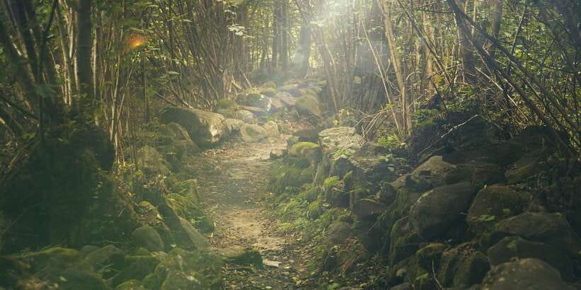 Thrills of Kitulgala - Small group and an English guide: how the day feels managed