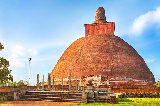 Tour Packages in Sri Lanka - Most Popular Round Tour - All in One Tour - Yala National Park Safari, Mirissa Beach, and Dolphin Time