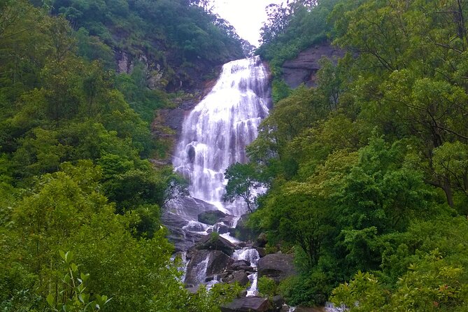 Tour to the Hidden Waterfalls around Kandy (Knuckles Range) - Getting started right: 7:00 AM pickup and a private flow