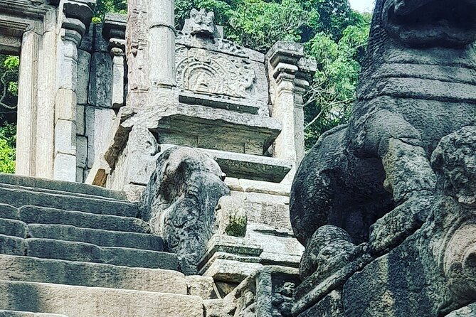 Tours and Transportation in Sri Lanka - Why a Private Kandy Day Beats DIY Planning
