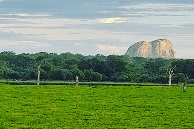 Tours and Transportation in Sri Lanka - Who This Tour Fits Best (And Who Might Not Need It)