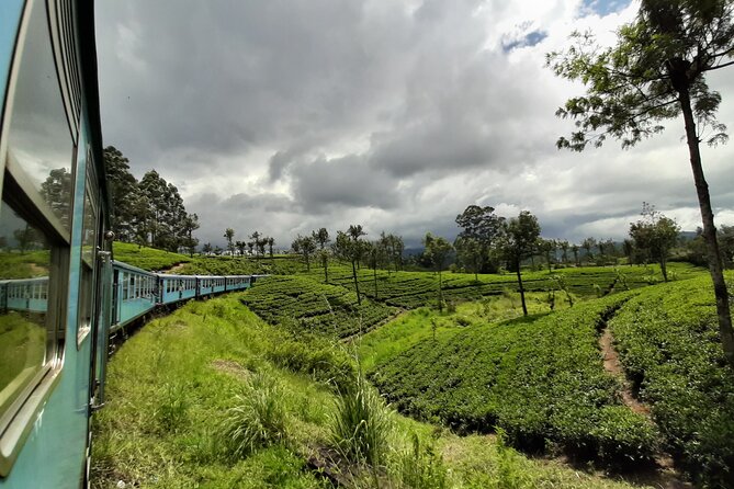 Train from Colombo to Kandy - Key Highlights You’ll Care About