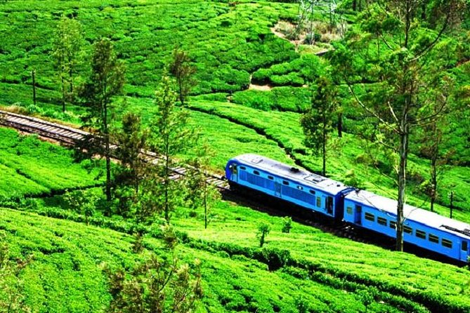 Train Tickets from Nanuoya (NuwaraEliya) to Ella - Why the Nanuoya to Ella Train Feels Like Sri Lanka on Rails