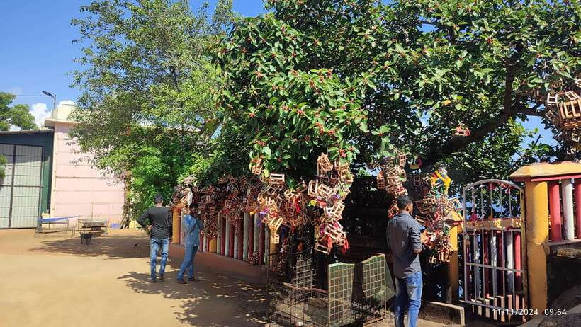 Trincomalee: City Tour with Koneswarm and Crocodile lake - Price and value for $30: what’s included, what’s extra, and where it pays off