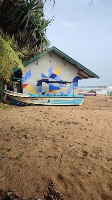 Trincomalee: Dolphin & Whale Watching Boat Tour - Quick hits before you go