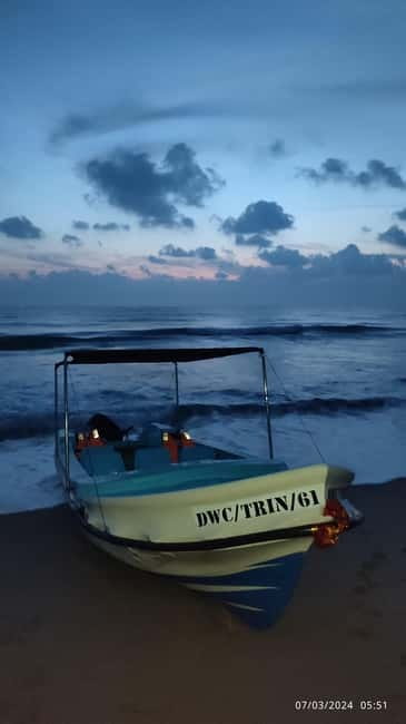 Trincomalee: Dolphin & Whale Watching Boat Tour - What happens on the water for your 2.5 hours