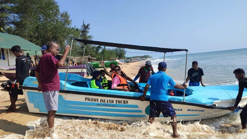 Trincomalee: Dolphin & Whale Watching Boat Tour - Who this tour suits best
