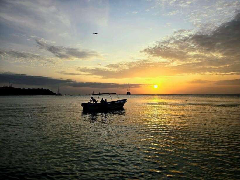 Trincomalee : Whale & dolphin watching +pigeon island tour - Pigeon Island Snorkeling and the Guided Island Walk