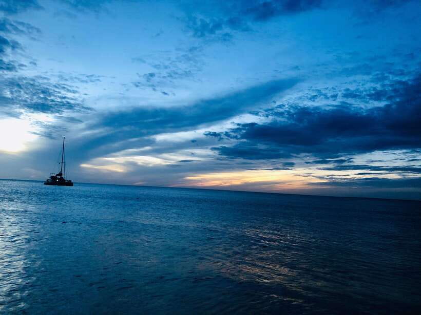 Trincomalee : Whale & dolphin watching +pigeon island tour - What the Trincomalee Coast Adds Between Wildlife and Water Time