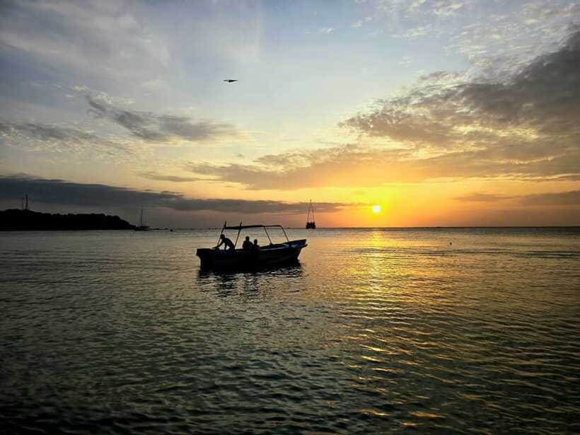 Trincomalee : Whale & dolphin watching +pigeon island tour - Price and value: Is $185 worth a 6-hour mix?