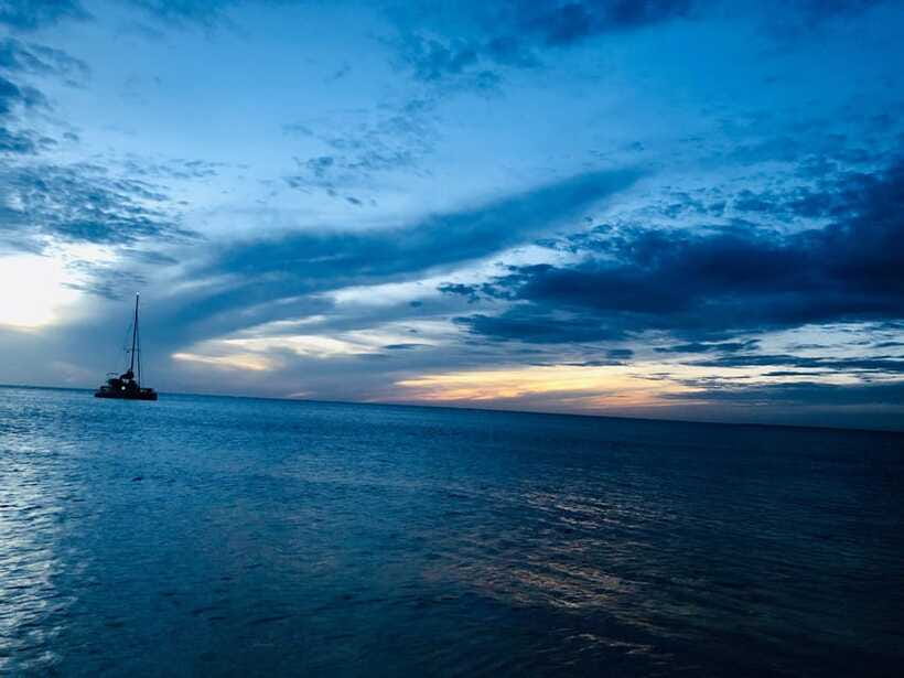 Trincomalee : Whale & dolphin watching +pigeon island tour - Who this tour is best for, and who should skip it