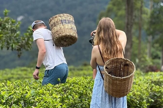 Tuk Tuk Nuwara Eliya Tea Falls Adventure - Key things I’d plan around