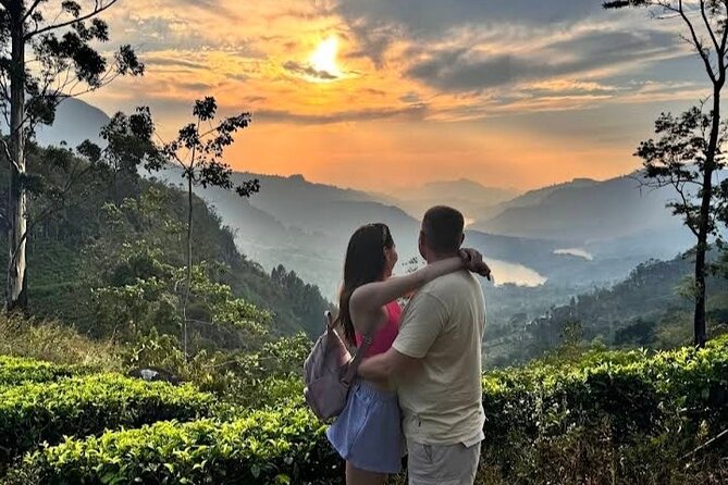 Tuk Tuk Nuwara Eliya Tea Falls Adventure - Price and value: $40 per group up to 3
