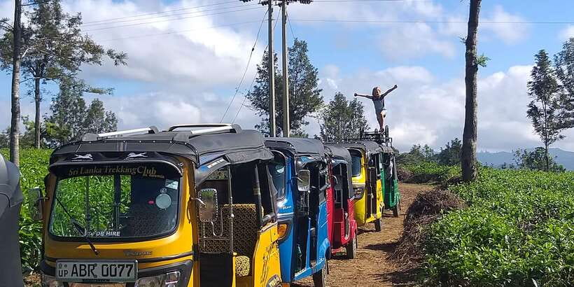 Tuk-Tuk Safari Liptons seat,Tea Fields Hike,TeaFactory Tour - Why Lipton Seat and Dambatenne Belong in the Same Day