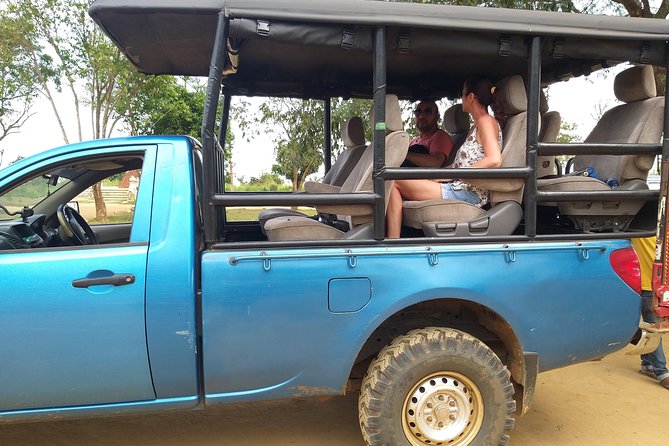 Udawalawa National Park half day Safari - What you’re realistically looking for: elephants, birds, and a few curveballs