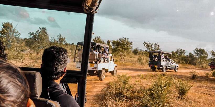 Udawalawa National Park: Private Safari - The 3-hour rhythm: what your safari time really buys