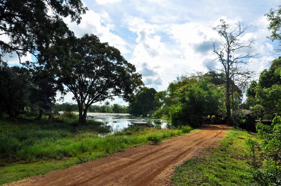 Udawalawa National Park: Private Safari - What to bring, and how to behave for better sightings