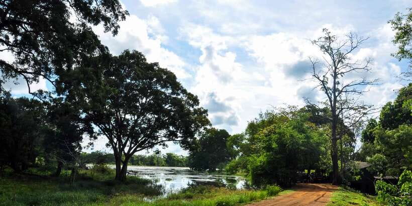 Udawalawa National Park: Private Safari - Who this private safari is best for