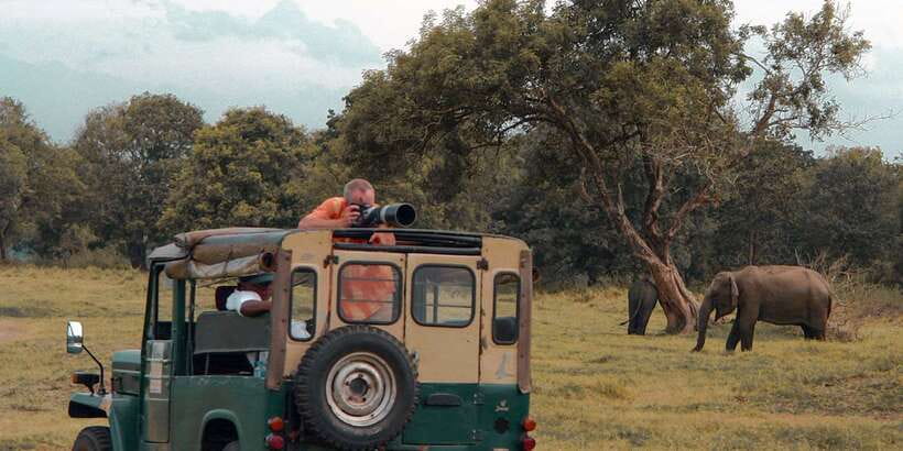Udawalawa National Park: Private Safari - Should you book Udawalawe National Park: Private Safari