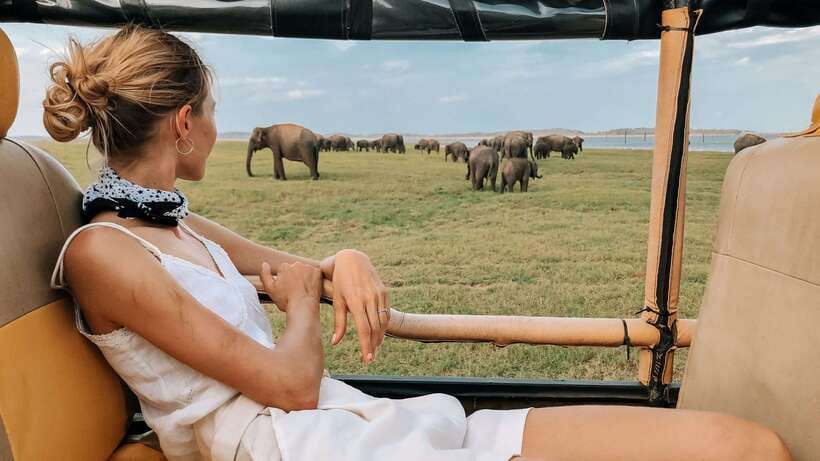 Udawalawa National Park Safari Tour with Experienced Guides - Udawalawe Safari Value: Why Elephants Are the Main Event