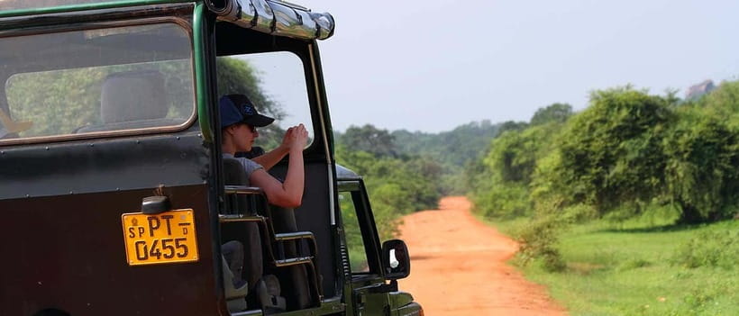 Udawalawa National Park Safari Tour with Experienced Guides - Wildlife You Can Expect, From Crocodiles to Snakes and Birds