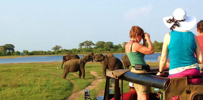 Udawalawa National Park Safari Tour with Experienced Guides - What Could Go Wrong, and How to Reduce Your Odds
