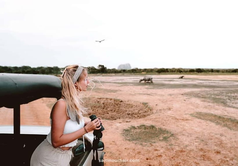 UDAWALAWA SAFARI TOUR from HAMBANTOTA PORT (Shore Excursion) - Shared jeeps, group size, and what to expect about pricing