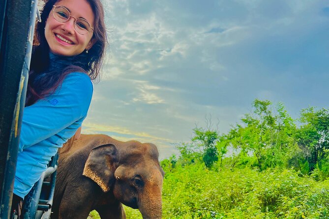 Udawalawa Wild Life Safari - Elephant Transit Home Stop: What You See and Why It Matters