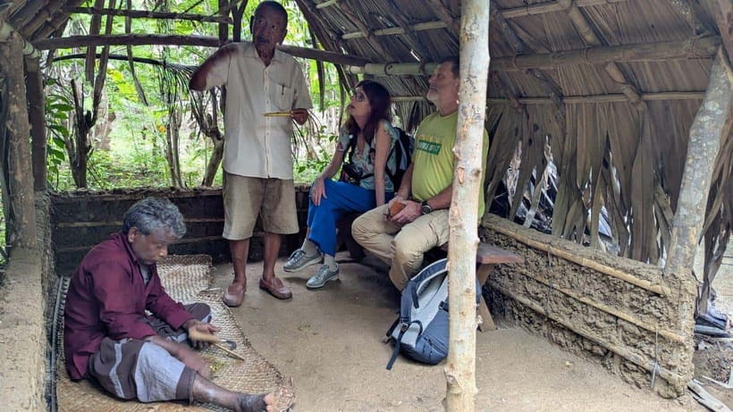 Udawalawe: Farm to Table Cooking & Authe: Village Experience - Cinnamon peeling: the spice lesson you can actually picture
