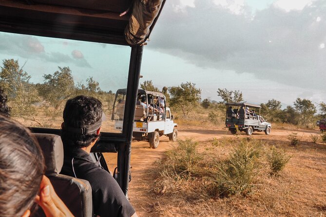 Udawalawe National Park Entrance Ticket with Private Safari - Quick hits before you go