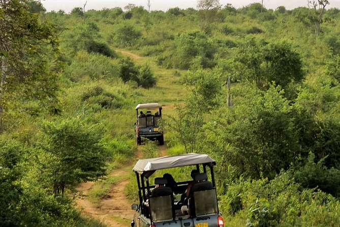 Udawalawe National Park Entrance Ticket with Private Safari - Who this is best for in Sri Lanka