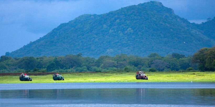 Udawalawe National Park Private Full-Day Safari - From the gate to your first wildlife check