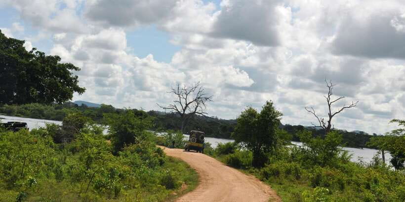Udawalawe National Park Private Full-Day Safari - The guide factor, including Asnka’s spotting style