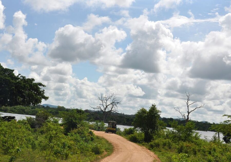 Udawalawe National Park Private Full-Day Safari - Timing: what the 5:00 PM return really means