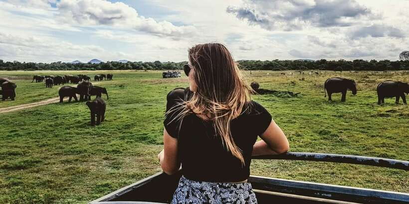 Udawalawe: National park safari & Elephant Transit Home Tour - Key highlights you should know before you go