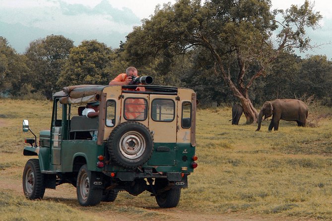 Udawalawe National Park Safari from Mirissa - Who this private Udawalawe safari fits best