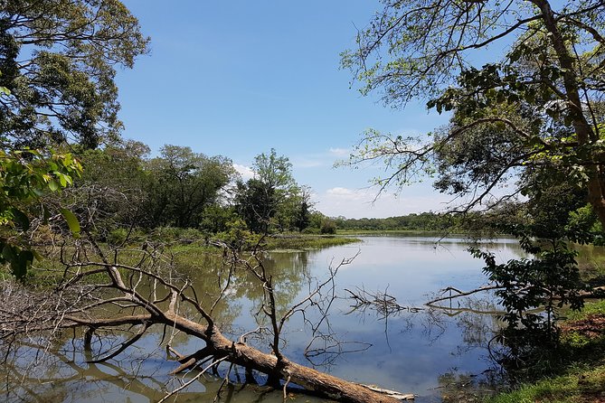 Udawalawe National Park Safari trip from Galle/Mirissa/Ella - Price and value at about $190 per person