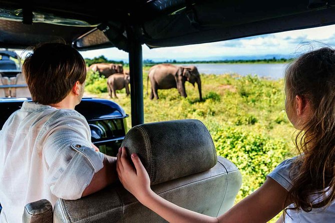 Udawalawe National Park Safari with Elephant Transit Home Visit - Weather, Rain, and Why the Day Can Shift